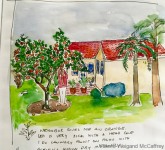 Orange Tree